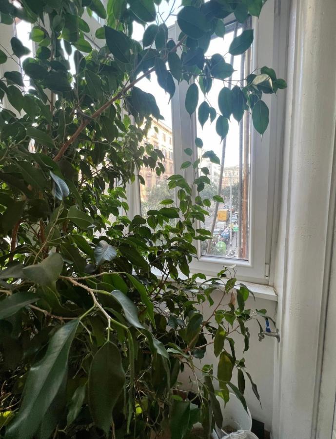 Cicerone Apartment روما المظهر الخارجي الصورة